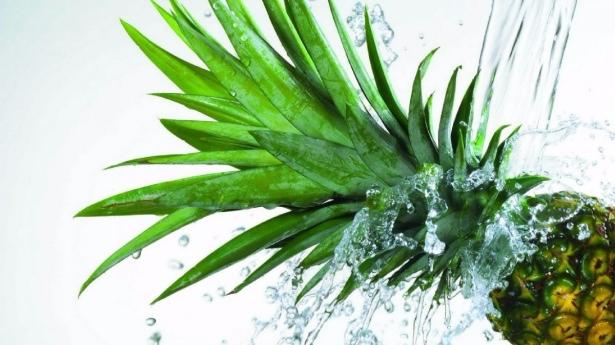 <p><strong>Ananas sapı</strong></p>
