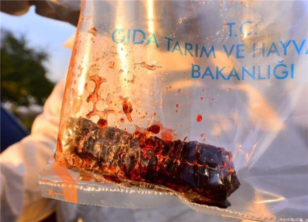 <p>Rengi ve tadı sıra dışı olan balın, yapılan incelemeler sonucu arılar tarafından üretildiğinin kesinleştiğine işaret eden Çenet, şöyle dedi:</p>

<p> </p>
