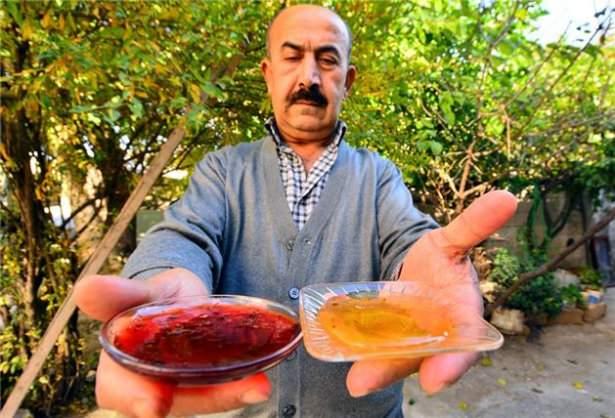 <p>Polenlerin bal içerisinde genellikle sarımtırak ve açık kahverengi renkte olduğunu aktaran Çenet, "Bu balda Arap sümbülü poleni kırmızı renge boyanmış. Bu balın en ilginç üç özelliği, baskın kırmızı rengi, tadının reçeli andıran mayhoşlukta olması ve en önemlisi de normal balda görülenden çok daha fazla çeşitli bitkilere ait polenlerin bol miktarda bulunması" dedi.</p>
<p> </p>