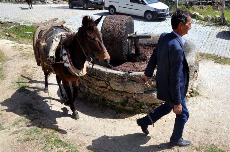 <p>Yatağan ilçesine bağlı Turgutlar Mahallesi'nde yaşayanlar, verimi ve kalitesinin fabrikalarda üretilen yağlardan daha iyi olduğu düşüncesiyle topladıkları zeytinleri ayaklarıyla ezip yağını çıkartıyor.</p>
