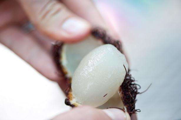 <p>Rambutan, Asya’da dizanteri tedavisinin bir parçası olarak kullanılır. Bunun dışında bazı bölgelerde kronik ateş benzeri başka kronik hastalıkların tedavisinde rambutanın iyileştirici gücü olduğuna inanılmaktadır. </p>
