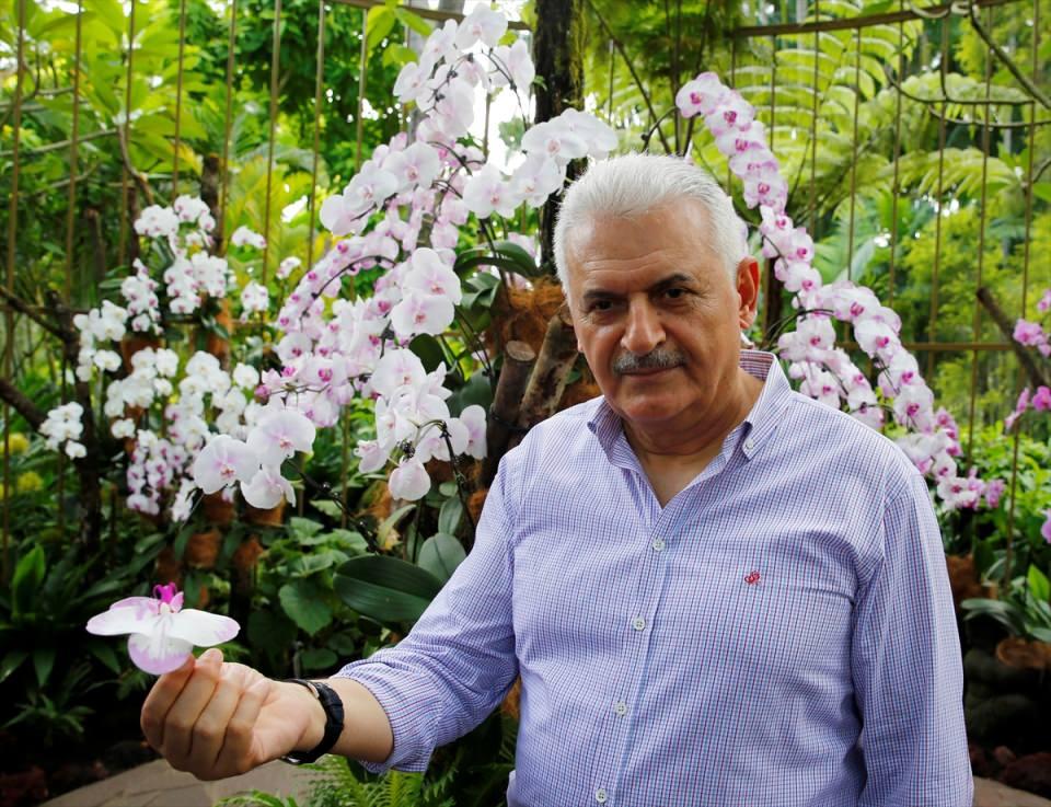 <p>Başbakan Binali Yıldırım, Singapur'da dünyaca ünlü Botanik Bahçesi içinde bulunan Ulusal Orkide Bahçesi'ni gezdi.</p>
