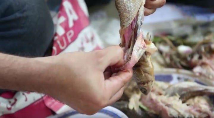 <p>Geleneksel bir yemek olan fesik balığı, kepekli undan yapılır ve kalınlığı pide ile yufka ekmeği arasındadır.</p>