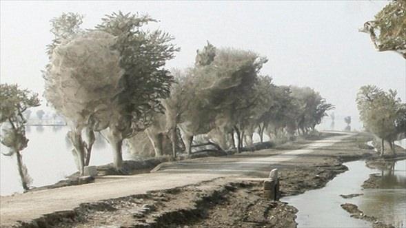 <p>Korku filmlerinden bir sahne değil bu... Yer Güneybatı Pakistan, Karachi yakınları...</p>
