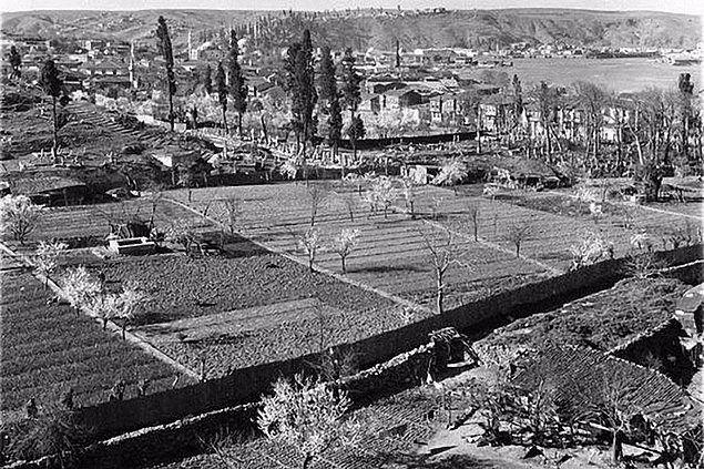 <p>49. Artık orada olmayan Eyüp bostanları.</p>