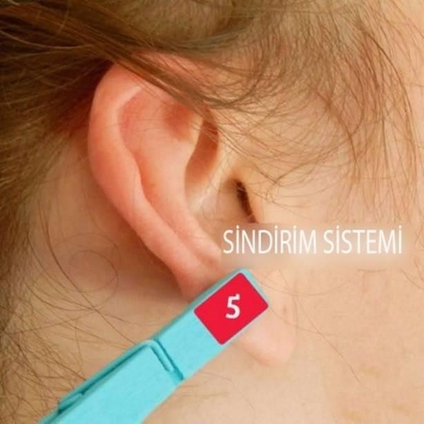 <p><strong>Sindirim sistemi için</strong></p>

<p>Küpe deliğinin tam üstündeki bölge 5. bölgedir.</p>
