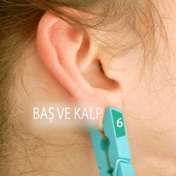 <p><strong>Kalp ve baş için</strong></p>

<p>Bu noktaya basınç uygulamak kalp ve baş ağrılarını geçirir</p>
