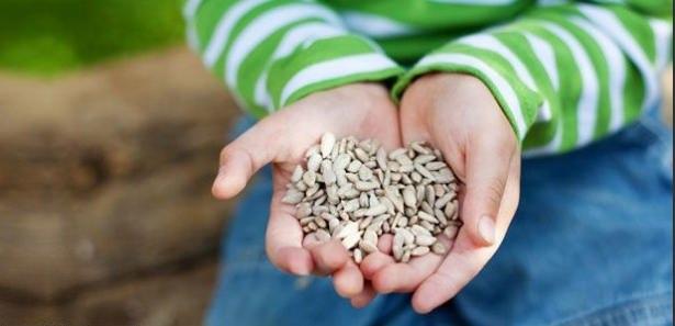 <p>Fikir işçilerinin ve zayıf kalmış çocukların günde 50 gram yemesi tavsiye edilir.</p>