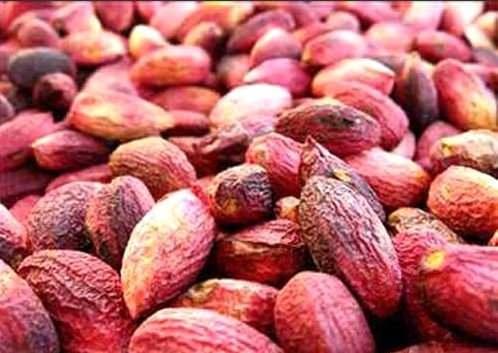 <p>Antepfıstığı şeker hastalığında (Diabete Mellitus)kullanılabilir.</p>
