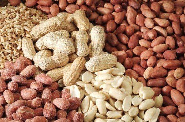 <p>Öğrenme gibi beyin fonksiyonları için gerekli olan bir vitamindir.</p>