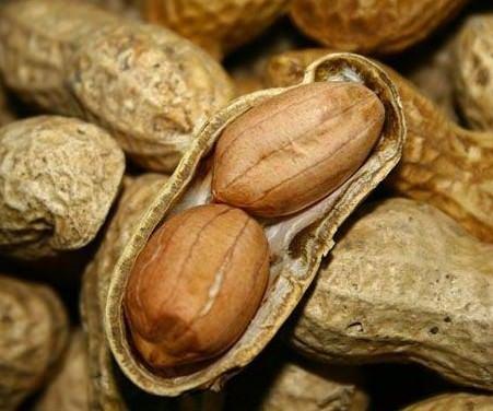 <p>İçerdiği B3 vitamini kolesterolü düşürür, dolaşımı arttırır.</p>
