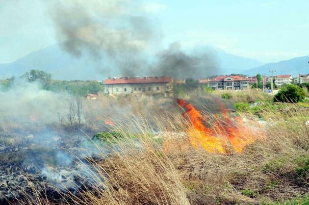 Muğla'nın Fethiye İlçesi'nde yaban kuşlarına yuva olan sazlıklarda yangın çıktı. Bataklık bölgeye giremeyen itfaiye ekipleri yangına müdahalede zorlanırken, 20 dekar sazlık alan kül oldu.