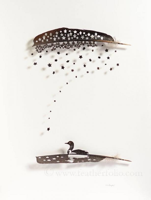 <p>Hem Sanatçı hem de bir biyolog olan Maynard, kuşların şekil ve siluetleriyle oluşturduğu muhteşem eserlerini; yine onların tüyleri üzerinde yaptığı hassas ve ustalık gerektiren çalışmalarla ortaya çıkarıyor.</p>
