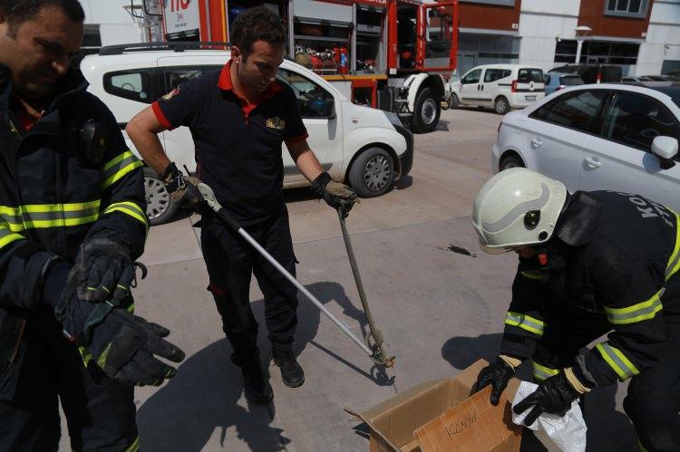 <p>Geldiler sağolsunlar. Çok korktum yılanı görünce. Buraya gelene kadar kaşıntı tuttu. Zor geldim buraya kadar. Gelince dayanamadım, itfaiyeyi aradım. Çünkü bu korku ile ne kadar araba sürecektim" dedi.</p>

<p> </p>
