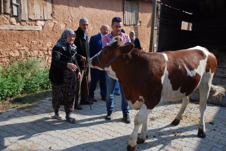 <p>Sosyal medyadan ailenin durumunu öğrenen Burdur'da büyükbaş ithalatı yapan bir firma, yaşlı çifte 3 gebe düve hediye etme kararı aldı. </p>
