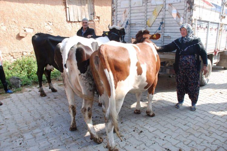 <p>Getirilen düveleri gören Fatma Girkin'in yüzündeki hüzün bir anda sevince dönüştü. </p>