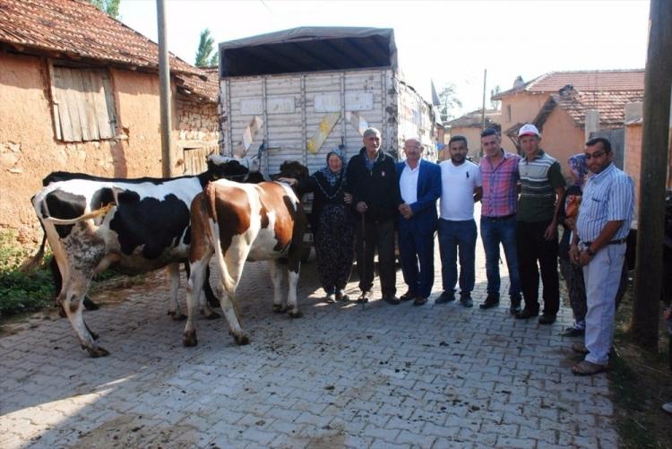 <p>Büyükbaş ithalatı yapan firmanın sahibi Mustafa Kayalar da haberi medyadan gördüklerini, akabinde yönetim kurulu olarak aileye yardım etme kararı aldıklarını söyledi.</p>