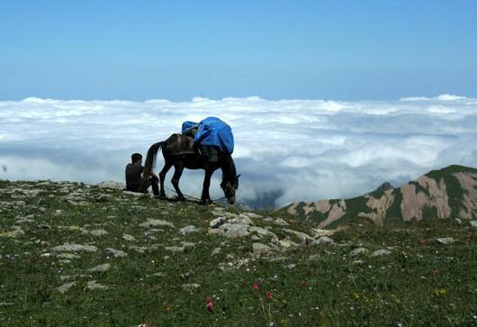 <p>Rize</p>
