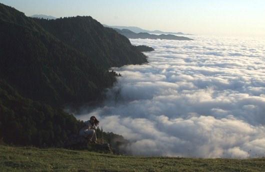 <p>Rize</p>

