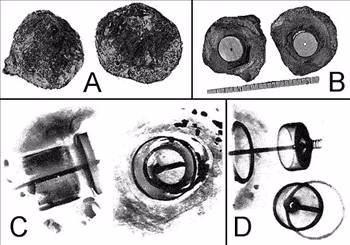<p><strong>KRİSTALLE KAPLI KAYA</strong></p>

<p>Bu kaya parçasının üzeri doğal kristallerle kaplanmıştır.içinde bir boşluk bulunmuştur. Bu boşlukta, malzemesini metal ve porselenin oluşturduğu garip bir cisim bulunmuştur.</p>

<p>Resim A : Kaya parçasının iki parçaya bölünmüş hali.</p>

<p>Resim B : Taşın her iki yarısının iç kısmını görüyoruz.</p>

<p>Resim C : Radiography tekniğiyle içindeki cismin resmi çekiliyor. Cisim o kadar eski olmasına rağmen metal bir yapıdadır. Bu cismin üzerinde meydana gelen ve onu kaplayan kristal oluşumlu kabuğun oluşabilmesi için 500.000 yıl (beş yüz bin yıl) geçmesi gerekiyor !</p>

<p>Resim D : Yan taraftan çekilen radiography resminde metal cismi daha ayrıntılı bir şekilde görüyoruz. Sonuç olarak bu garip cisim 500.000 yıl yaşındadır. Günümüzde bir şeye ait bir parça olsaydı ,çoktan ne olduğu tespit edilirdi.</p>
