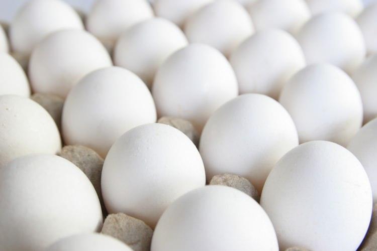 <p>Ayrıca sahte yumurta sallandığı zaman içinden ses geliyor.</p>