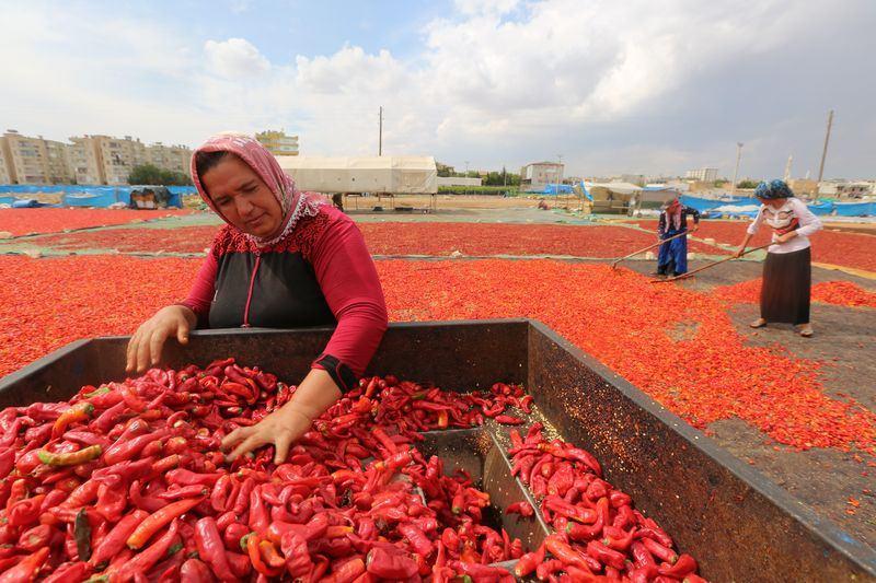 <div><strong>"Reçele ilgi fazla"</strong></div>

<div> </div>

<div>Sırrın Mahallesi'nde boş tarlada kurduğu çadırda isot reçeli yapan Mahmut Polat, 15 yıldır sonbahar aylarında bu zahmetli yolculuğu sürdürdüklerini, bu işten para kazandıklarını söyledi. </div>
