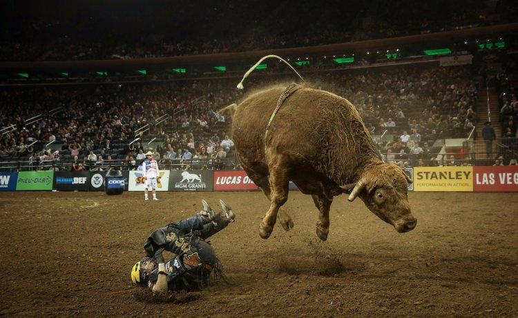 <p>KILIÇDAROĞLU - <strong>Rodeo şampiyonası</strong><br />
 </p>
