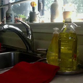 <p>Bulaşık deterjanını, zeytinyağı şişesinin içine koyarak kullanabilirsiniz.</p>
<p> </p>