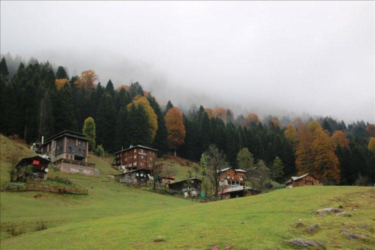 <p>Rize<br />
<br />
Nüfusu: 331 048 <br />
Toplam otomobil sayısı: 31 633<br />
Kaç kişiye bir otomobil düşüyor: 10,5</p>