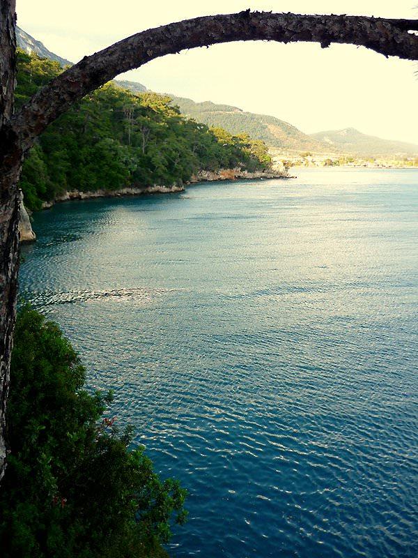 <p>Akyaka</p>
