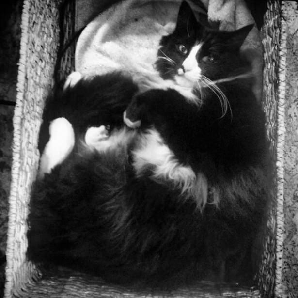 <p>Henri</p>
