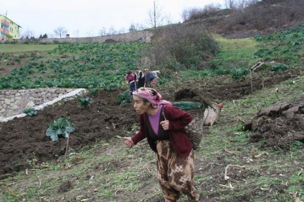 <p>Trabzon’un Dözköy ilçesi Çalköy Orta mahallede kadınlar ilerleyen yaşlarına rağmen tarlayı belliyor, sırtlarında odun ve tezek taşıyor.</p>
