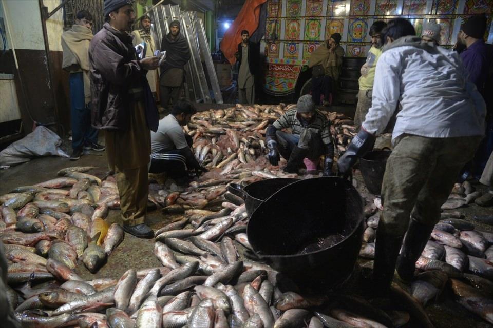 <p>&nbsp;Pakistan'da balık&ccedil;ılık ulusal ekonomide b&uuml;y&uuml;k rol oynarken, balık&ccedil;ılıktan ge&ccedil;imini sağlayan yaklaşık 400 bin kişi bulunuyor.</p>
