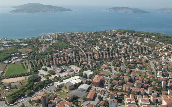 <p>Maltepe - 1558 adet</p>