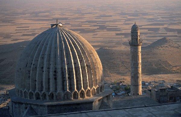 <p>Mardin bin 79</p>
