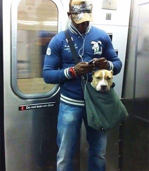 <p>Yurtdışında metroya binen insanlar hemen hemen her gün birbirinden ilginç insanlarla karşılaşabiliyor. </p>
