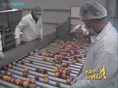 <p>Taşıma bandındanki meyveler hattın iki yanındaki işçiler tarafından ayıklanıyor.</p>

<p> </p>
