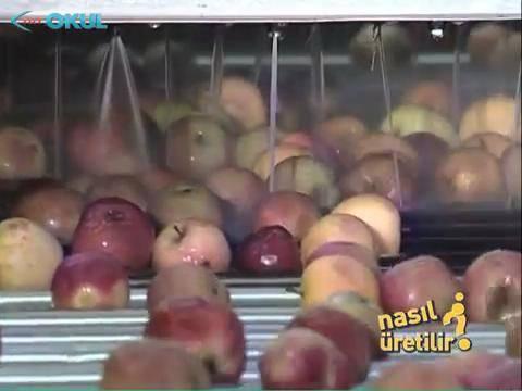 <p>Bozuk veya çürük olanlar ayrılıyor. Ayıklananlar suyla yine yıkanıp temizleniyor.</p>

<p> </p>

