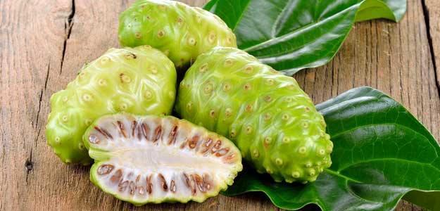 <p><strong>Noni</strong></p>
<p>Güneydoğu Asya ve Avustralya'da yetişen Noni görüntü olarak duta benziyor. Bu meyvenin ağır bir kokusu ve keskin bir tadı var.</p>
