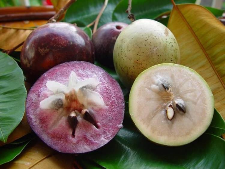 <p><strong>Yıldız elması (Caimito/Star Apple)</strong></p>

<p>Güney Amerika ve Hint Adalarında yetişen yıldız şekilli mor elma güzel kokulu ve tatlı. </p>
