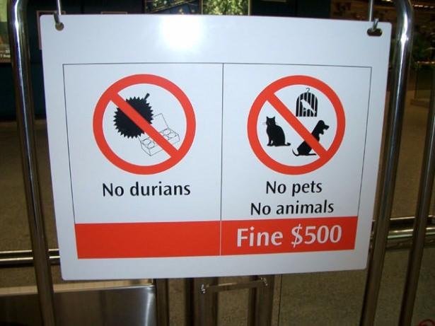 <p><em>Toplu Taşıma Araçlarında Duryan Yasaklı Meyve.</em></p>
