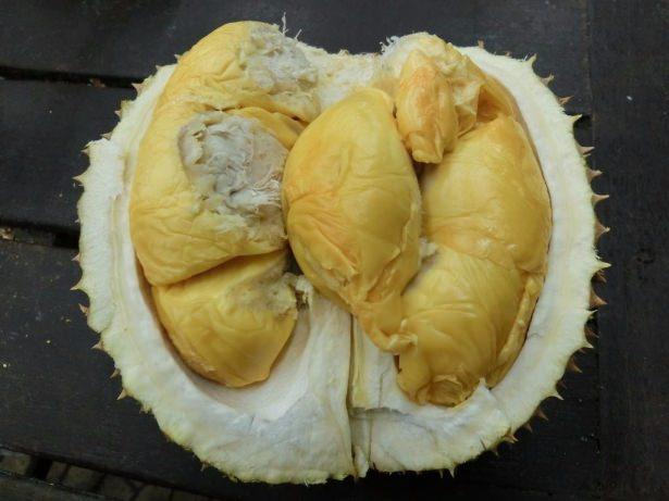 <p>Duryan, kabuğundan çıkarıldıktan sonra çiğ olarak yeniliyor. Ancak dilerseniz duryanı suda kaynatıp, içine de şeker katıp hoşaf olarak da tüketebilirsiniz.</p>

<p> </p>
