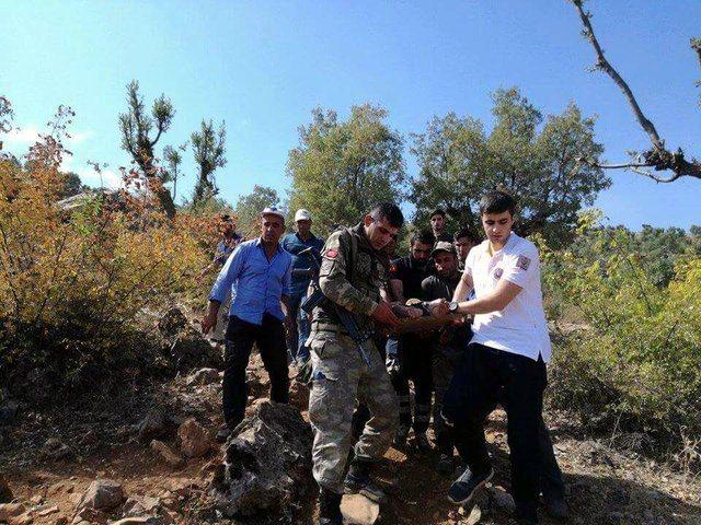 <p> Bu yüzden ben de Arıcak merkeze gidip onlar için yemek yaptıracaktım.</p>