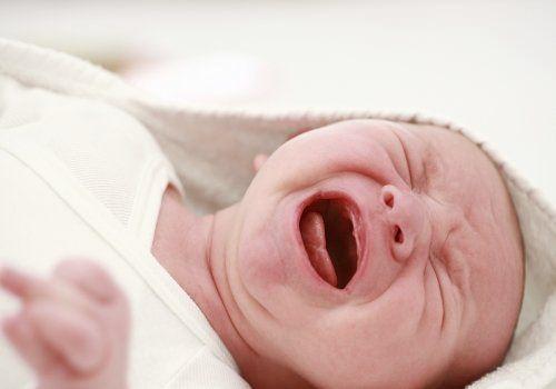 <p>Bebekler, 7 aylık olana kadar aynı anda hem nefes alıp hem de yutkunabilirler.</p>
