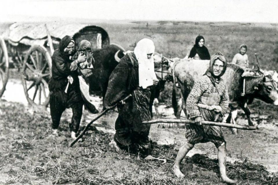 <p>1992-1998 yılları arasında Bosna'dan 20 bin kişi.</p>
<p> </p>
<p> </p>