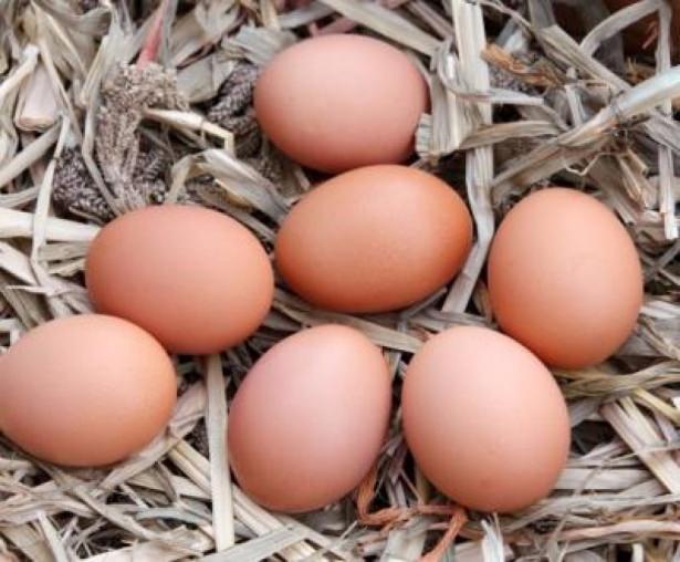 <p>Protein bakımından zengin ama kalorisi düşük. Beyni korur ve göz sağlığını güçlendirir.</p>
