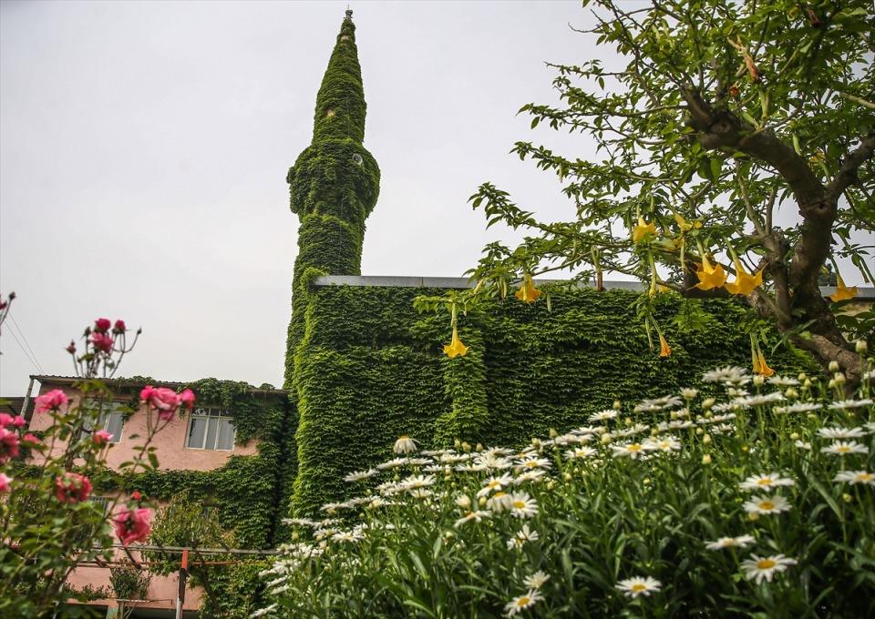 <p><strong>Cemaat camiye gösterilen ilgiden memnun</strong></p>
<p>Köprüköy Camisi cemaatinden Ziya Gürtaş, uzun zamandır ibadetlerini "Yeşil Cami"de yerine getirdiğini söyleyerek, "Camimiz yeşilliğiyle herkesi çekiyor. Bazen turistler de gelip fotoğraf çekip gidiyorlar. İnşallah bu güzellik her zaman sürer." ifadesini kullandı.</p>
<p> </p>