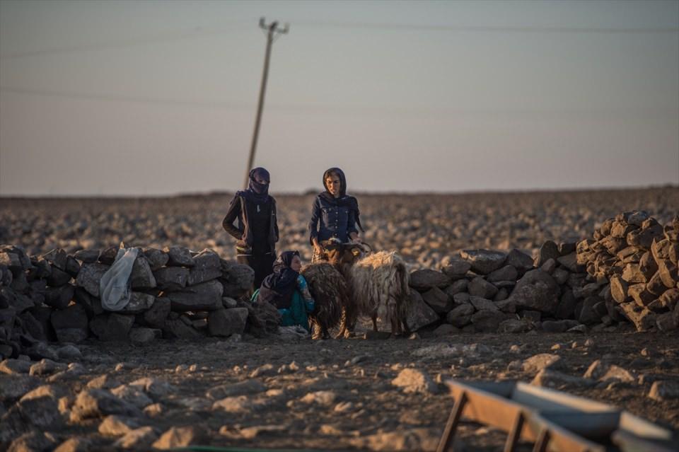 <p>Göçerler için meraların ve hava şartlarının çok önemli olduğunu vurgulayan Ağan, özellikle hayvanların süt verdiği bahar ve yaz aylarında üreticilerin daha çok bu konuya eğildiğini aktardı.</p>
<p> </p>