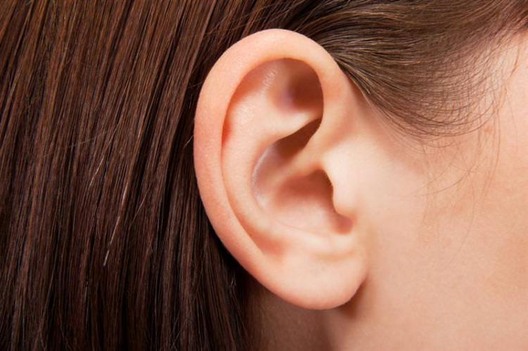 <p>Kulak kiri olarak bilinen buşon aslında vücudun ürettiği salgılardır. Her insanın kulağı az ya da çok kir üretir. </p>
