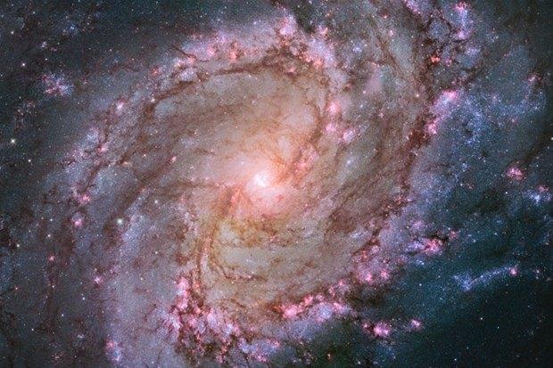 <p>Sarmal gökada NGC2841 ve üzerindeki yıldızlar </p>